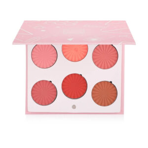 Mini Mix Face Palette - Charm Your Cheeks